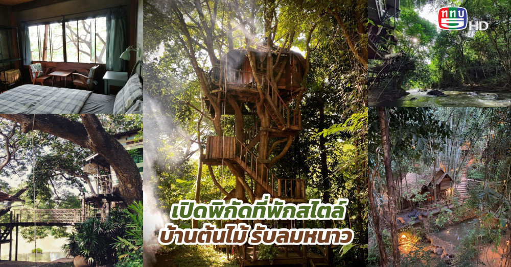 รวมที่พักแบบสไตล์บ้านต้นไม้ พักใจ พักกาย ช่วงปลายฝนต้นหนาว